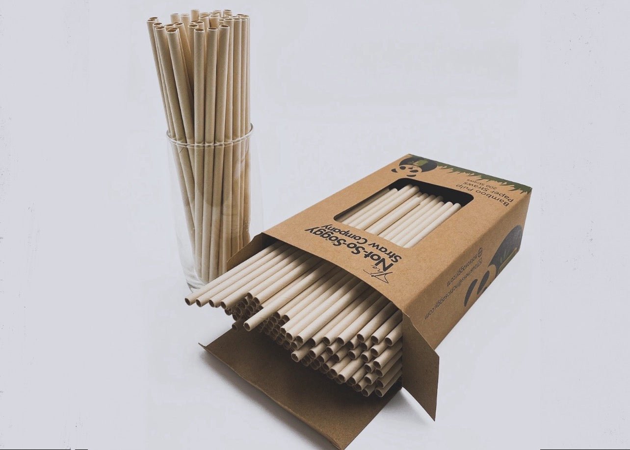 Not-So-Soggy™ Bamboo Paper Straws - 197mm